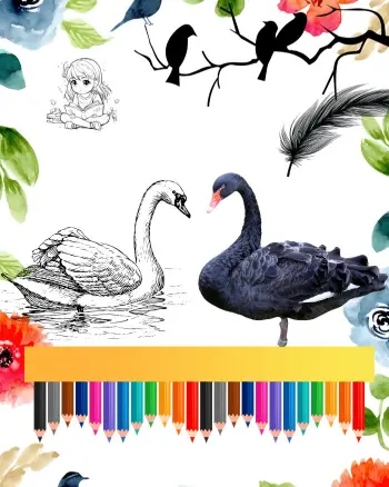 black swan coloring pages