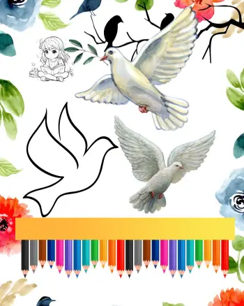 dove coloring pages