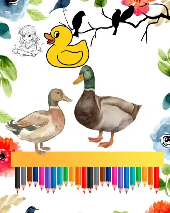 duck coloring pages
