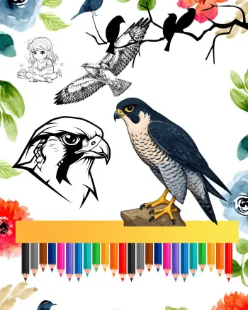 Falcon coloring pages