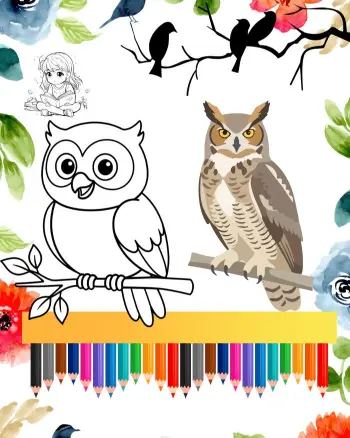 owl coloring pages